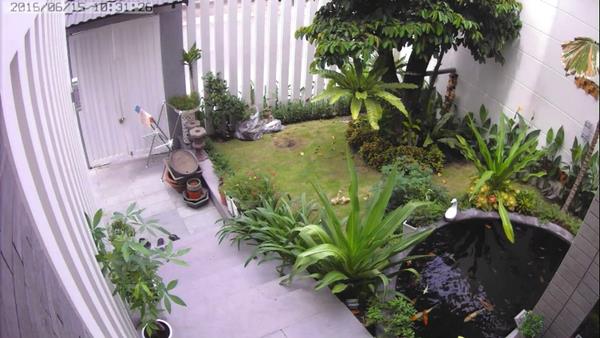 Mua Camera HDTVI Hikvison DS-2CE16C0T-IRP ở đâu uy tín