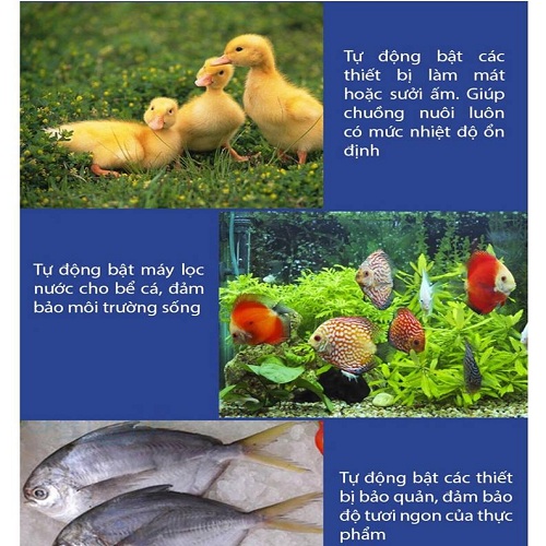 Ổ CẮM CẢM BIẾN NHIỆT ĐỘ AL-07