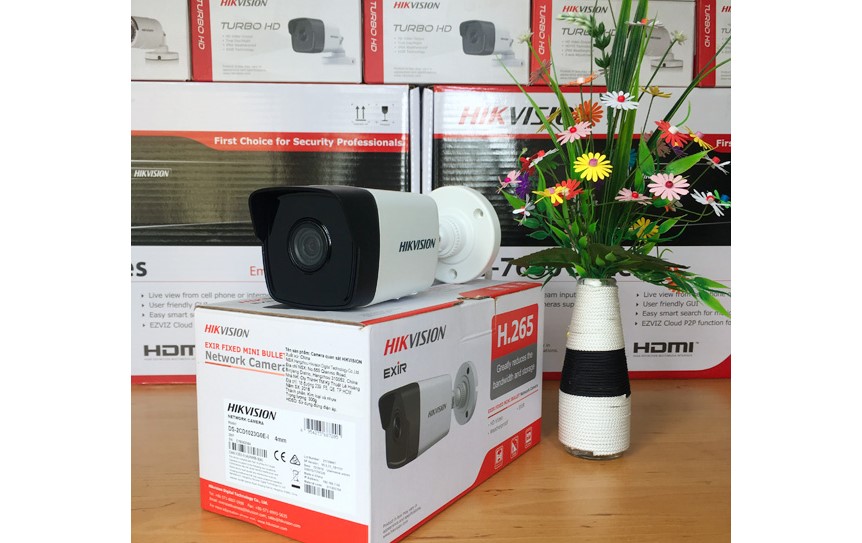 Nơi bán Camera IP Hikvision 2MP DS-2CD1021-I rẻ nhất Hà Nội