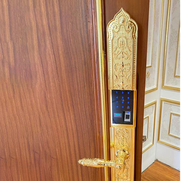 Kassler KL929 APP mở khóa đa dạng