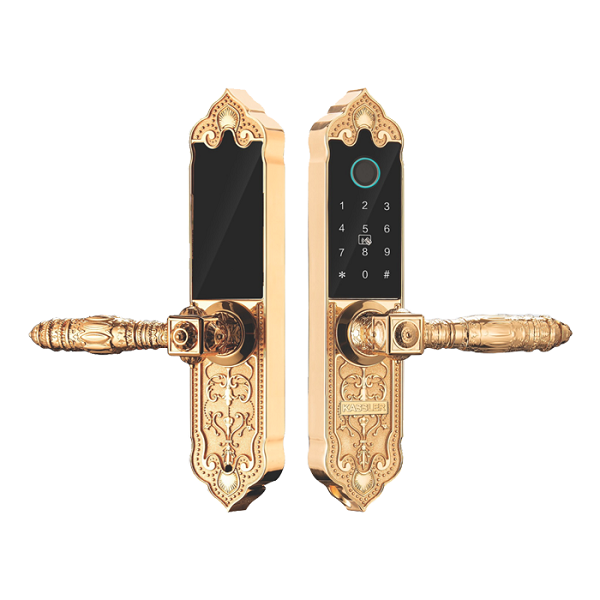 Khóa vân tay cửa gỗ Kassler KL-919 APP