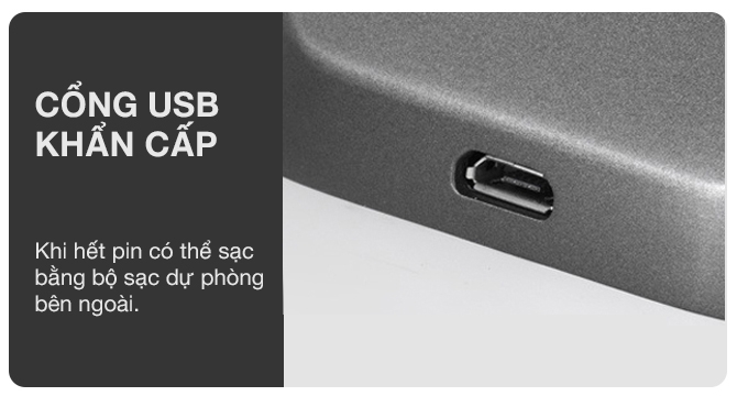 Bán Khóa cổng vân tay 1 mặt BOZO 221 Plus