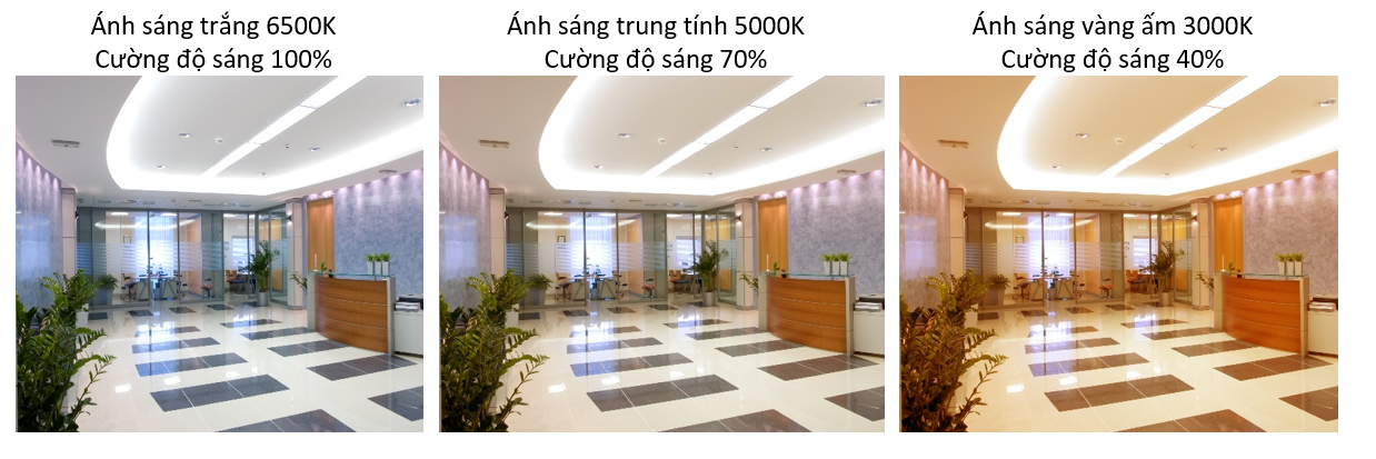 Lắp đặt sửa chữa Đèn Led Tracklight đổi màu TRL04.BLE 25W