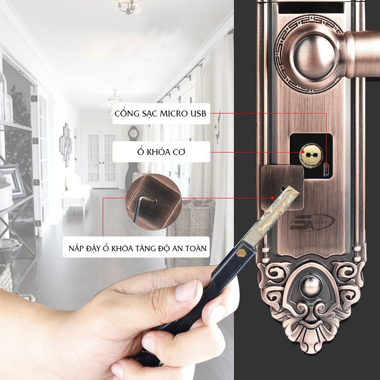 Nơi bán Khóa vân tay cao cấp 5ASYSTEMS DK8000 uy tín