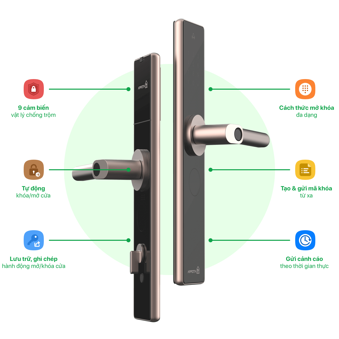 Thông số kỹ thuật sản phẩm Khóa cửa vân tay Appota AN1