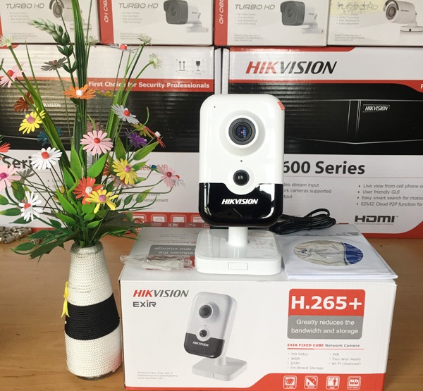 Camera Hikvision DS-2CD2421G0-IW chính hãng giá rẻ