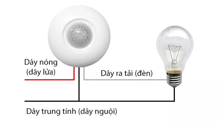 Phân phối CÔNG TẮC CẢM ỨNG CHUYỂN ĐỘNG PIR XD3602