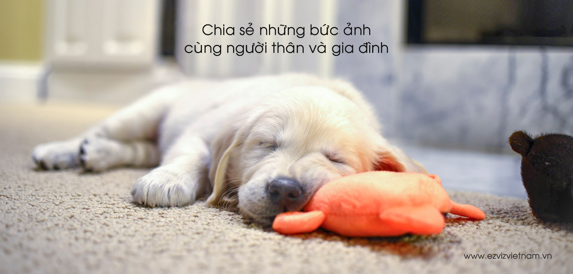 Mua bán Camera Wifi EZVIZ C2C 720P (CS-CV206-C0-1A1WFR) giá rẻ