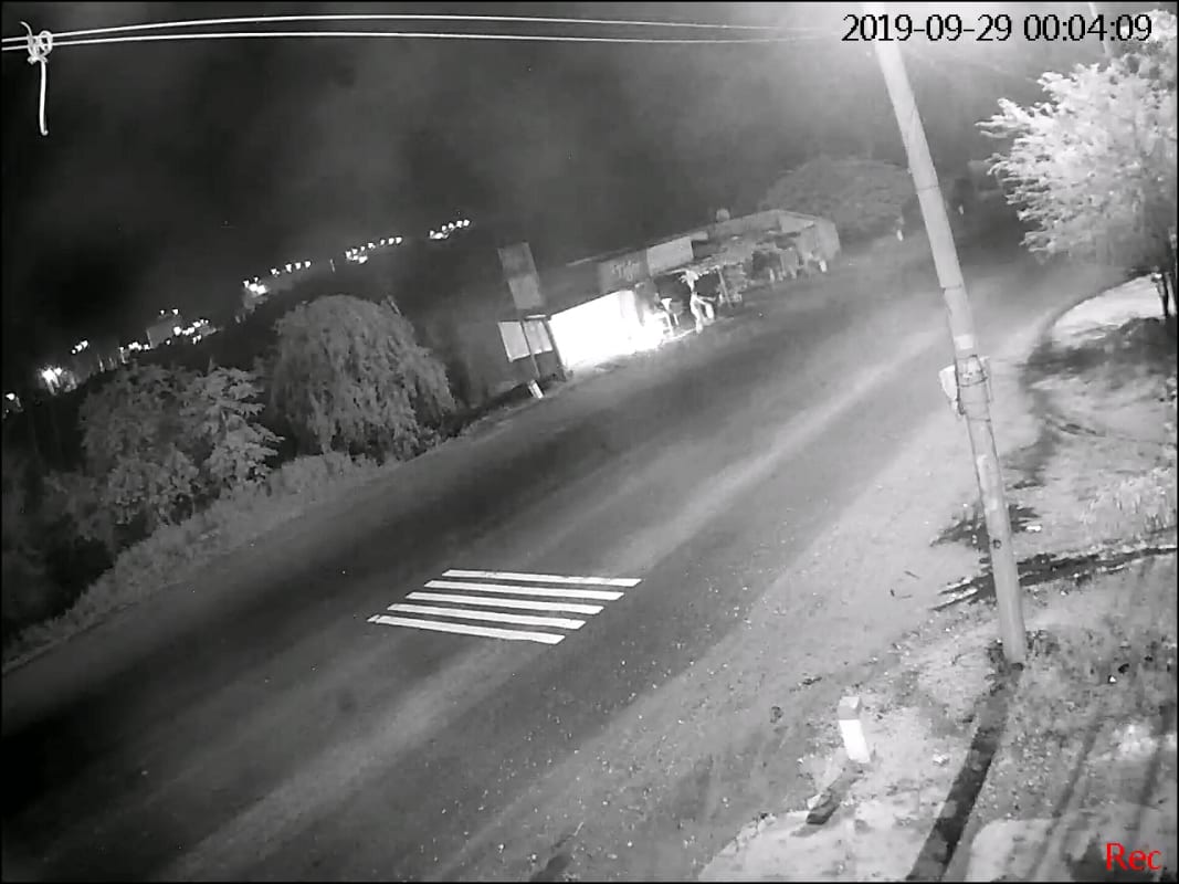 Phân phối CAMERA HDCVI 1MP DAHUA HAC-HDW1000MP-S3