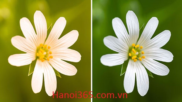 Địa chỉ bán CAMERA DAHUA DH-HAC-HDW1800MP giá rẻ