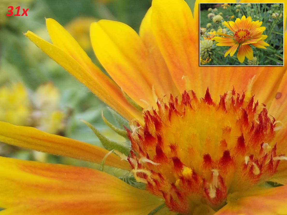 Đại lý phân phối CAMERA IP DOME 1.0MP DAHUA DH-SD6C131U-HNI