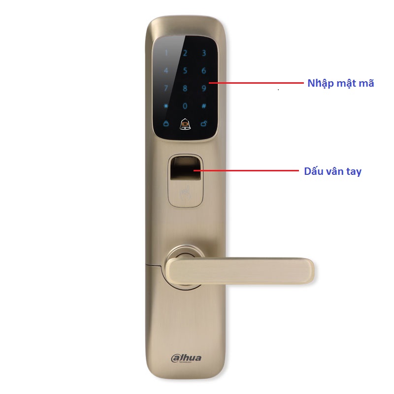 Địa chỉ bán KHÓA CỬA THÔNG MINH DAHUA DHI-ASL8112R giá rẻ