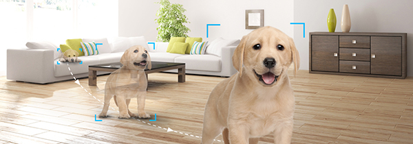 Lắp đặt CAMERA IP WIFI HILOOK IPC-P220-D/W giá rẻ