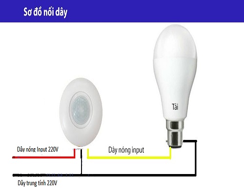 Công tắc cảm ứng chuyển động PIR lắp nổi trần TDL-9958J