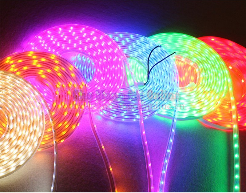 Bán CUỘN ĐÈN LED LUMI 5M giá rẻ