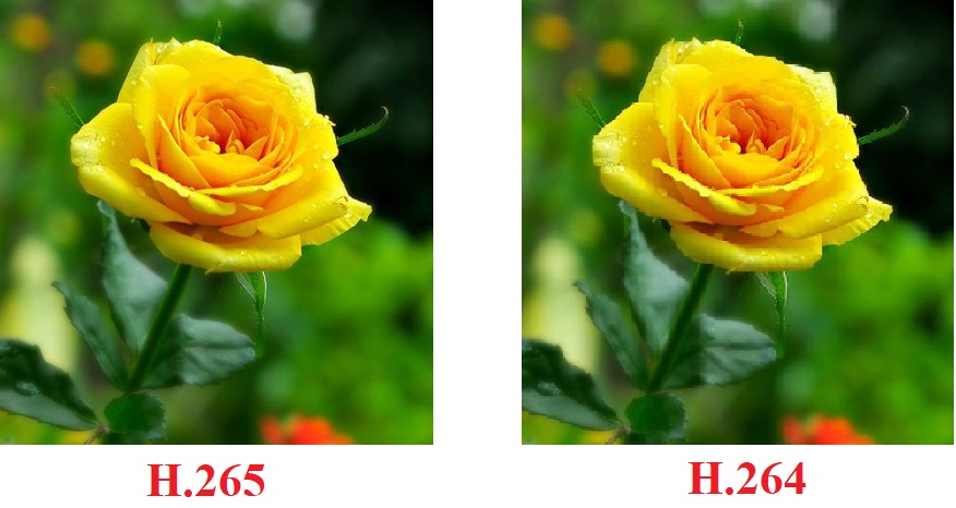 Mua Đầu ghi hình HIKVISION DS-7208HUHI-K1/UHK ở đâu uy tín