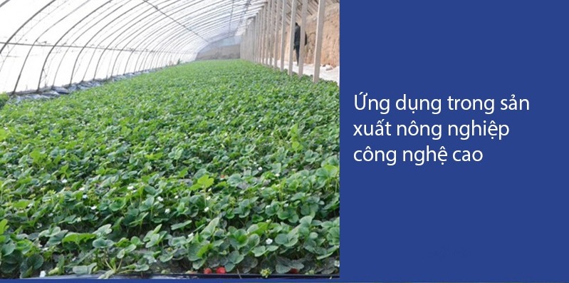 Ổ cắm cảm biến nhiệt độ, độ ẩm 2 cổng STH2