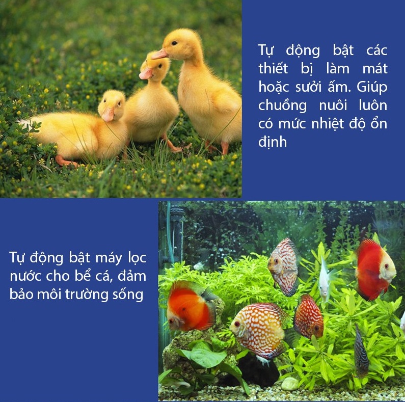 Ổ cắm cảm biến nhiệt độ, độ ẩm 2 cổng STH2