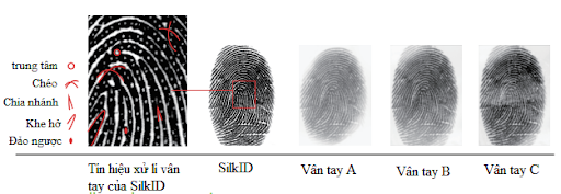 đại lý phân phối MÁY CHẤM CÔNG VÂN TAY VÀ THẺ KOBIO SILKID 101TA