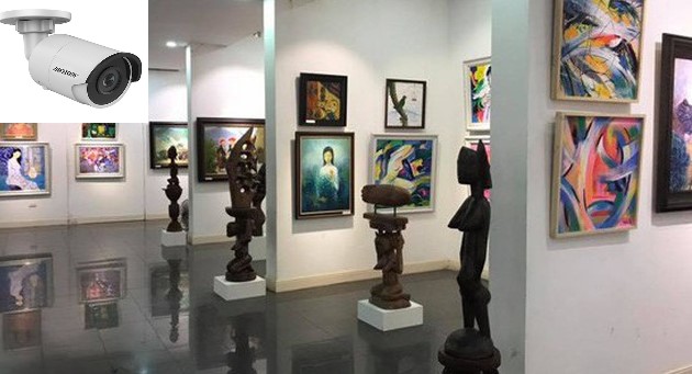 Bán Camera IP HIKVISION DS-2CD2055FWD-I rẻ nhất Hà Nội