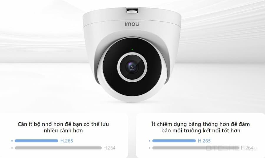 Hình ảnh sống động