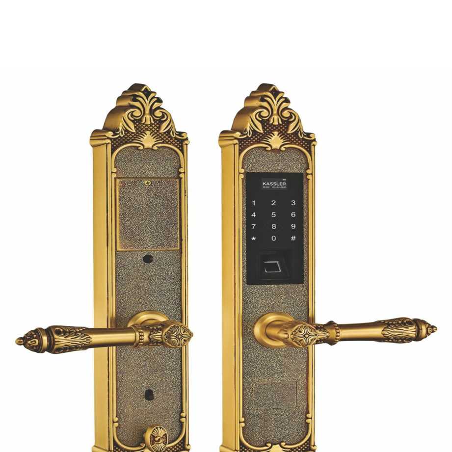 Khóa vân tay Kassler KL959C đa dạng phương thức mở khóa