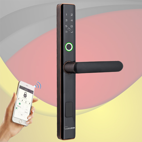 Khóa cửa nhôm Widmann F11 Wifi Khóa cửa nhôm Widmann F11 Wifi