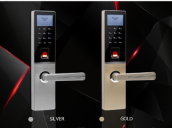 Khóa cửa vân tay Dessmann G810