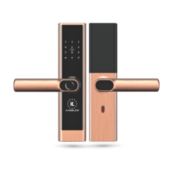Khóa vân tay Kassler KL656 COPPER