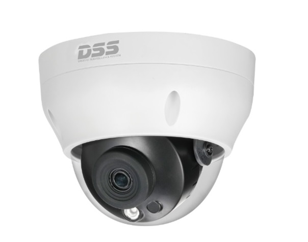 Camera IP Dome DAHUA DS2230RDIP-S2 Camera IP Dome DAHUA DS2230RDIP-S2