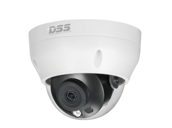 Camera IP Dome DAHUA DS2431RDIP-S2