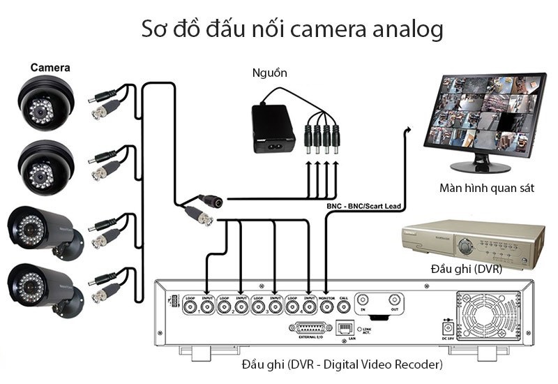 Hình ảnh So sánh camera IP và camera Analog: Nên chọn loại nào tốt nhất?