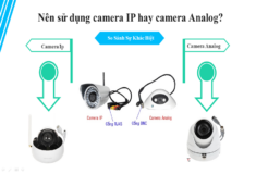 So sánh camera IP và camera Analog: Nên chọn loại nào tốt nhất?