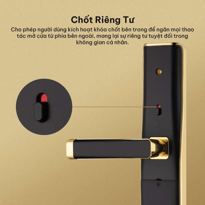 Khóa thông minh Hexa L100 thân khóa 6088 an toàn cao