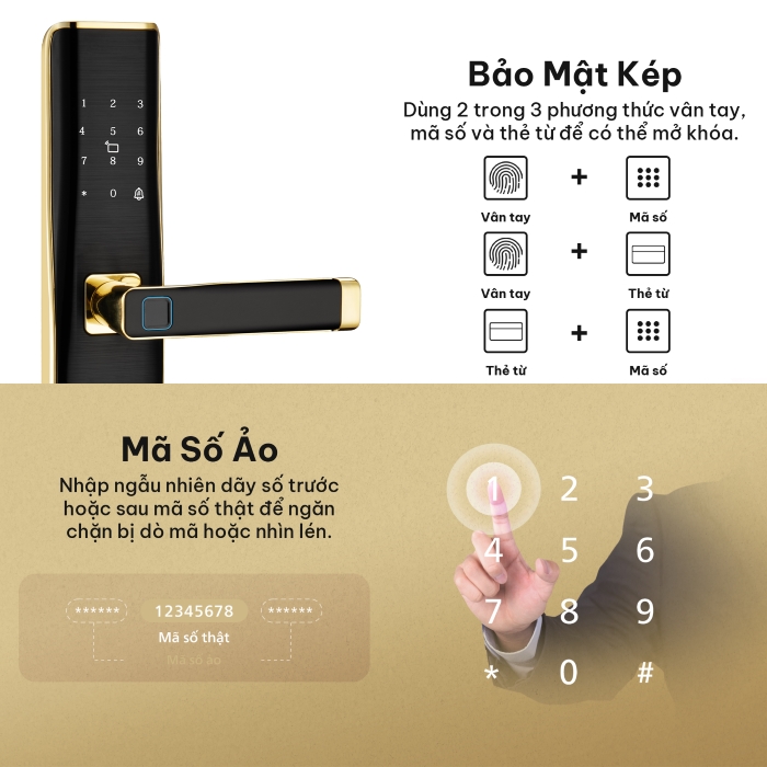 Khóa cửa thông minh Hexa L100 thân khóa 6088 bảo mật cao