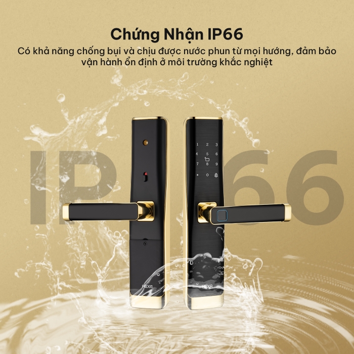 Khóa thông minh Hexa L100 thân khóa 6088 an toàn cao